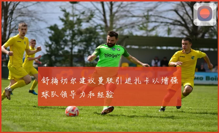 舒梅切尔建议曼联引进扎卡以增强球队领导力和经验